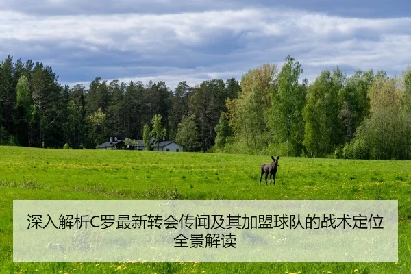 深入解析C罗最新转会传闻及其加盟球队的战术定位全景解读
